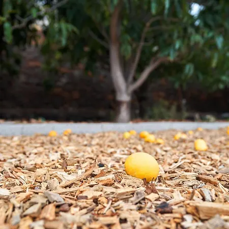 Apartamento Ecologica Quinta Tizones, Casa Mango