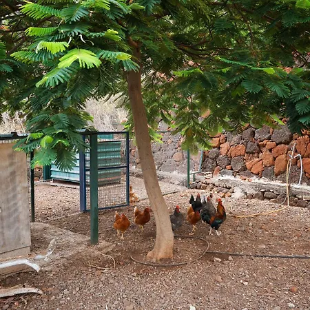 Ecologica Quinta Tizones, Casa Mango Apartamento