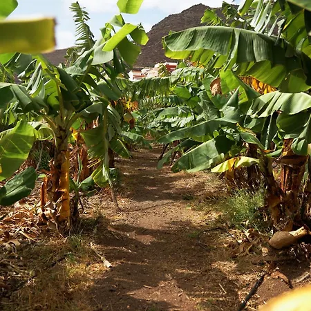 Ecologica Quinta Tizones, Casa Mango *